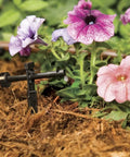 Low-Flow 1 GPH Drip Emitter Set installed watering flowers with pressure-compensating drippers on mulch near plants