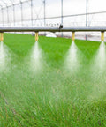 50 Pack Adjustable Brass Misting Nozzles spraying in greenhouse for garden irrigation