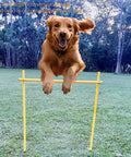 Dog jumping over yellow pole in Dog Agility Training Set With Six Weave Poles And Adjustable Jump Bar Outdoor Obstacle Course
