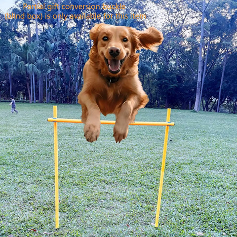 Dog jumping over yellow pole in Dog Agility Training Set With Six Weave Poles And Adjustable Jump Bar Outdoor Obstacle Course