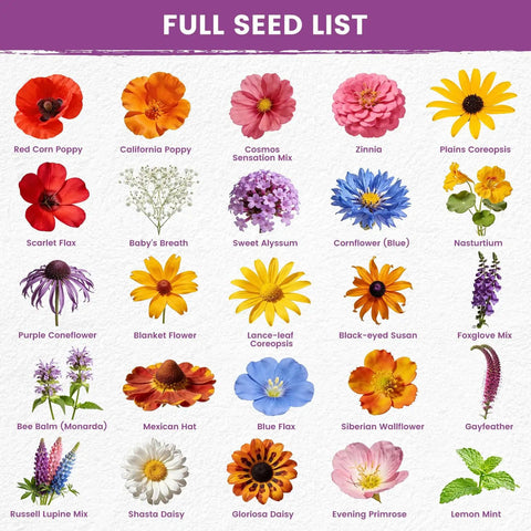 Image of the American Meadow Magic Wildflower Seed Mix Bulk Pack 25 Varieties Non GMO Perennial and Annual Native Seeds for Texas California and Florida Attract Hummingbirds Butterflies and Beautiful Cut Flowers, showing individual flower types like poppies, zinnias, and daisies.