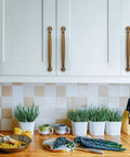 Antique Brass Cabinet Pulls 3-3/4 Inch 96mm 10 Pack Solid Zinc Alloy on white kitchen cupboards above a wooden countertop with herbs.