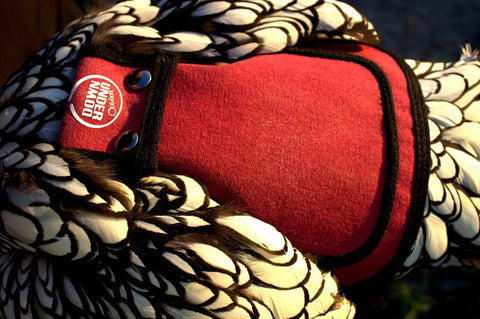 Close-up of hen wearing 4 Pack Medium-Large Poultry Saddles With Adjustable Straps, Hen Protection Aprons In Burgundy, Breathable 14oz Canvas.