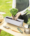 Person planting in a 16 Inch Window Box Planter With Tray Lightweight Plastic Rectangular Pot For Balcony Or Windowsill Great For Herbs Succulents Cacti Flowers Or Faux Plants With Drainage Holes And Attached Saucer on a garden table.