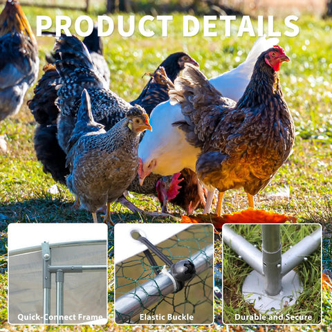 Chickens near features of Sturdy Large Walk In Metal Chicken Coop With Water Resistant Roof And Anti UV Cover Outdoor Poultry Run Pen