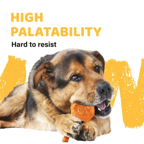 Dog enjoying Turkey Tendon Chews For Dogs 40 Count Bulk Pack 100 Percent Turkey Sourced In The US Hypoallergenic All Natural Pup Treats
