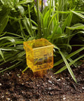Ten Pack 1.5 Inch Rain Gauge And Sprinkler Gauge with yellow clear housing, inch and millimeter scales in garden soil