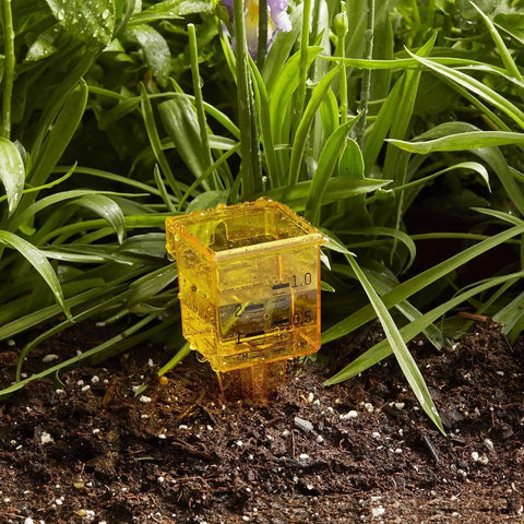 Ten Pack 1.5 Inch Rain Gauge And Sprinkler Gauge with yellow clear housing, inch and millimeter scales in garden soil