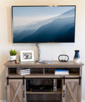 Living room with TV mounted above a wooden cabinet, featuring decor items like books, framed photo, and plant pot.