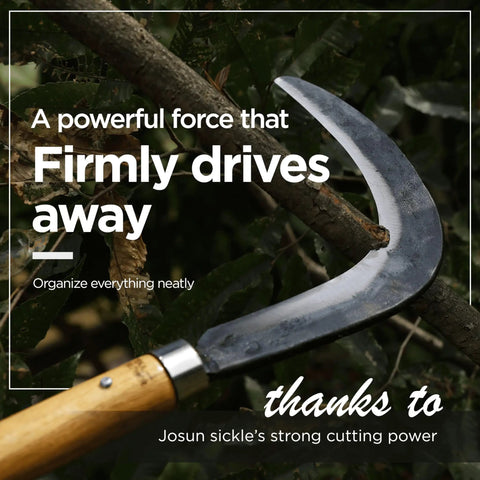 Josun Sickle Hand Forged Weeding And Brush Clearing Tool With Razor Sharp Blade And Chestnut Wood Handle in use cutting branch