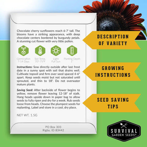 Back of Exotic Chocolate Cherry Sunflower Seeds package showing planting instructions and description of large burgundy blooms.