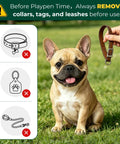 Super Sturdy Dog Playpen With Sun Shade Standing 24 Inches High Packs 16 Easy Clip Panels with a smiling French Bulldog and warning about collars.