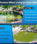 Comparison of small pond before and after using Solar Pond Filter Kit With 8W Fountain And 3600mAh Battery