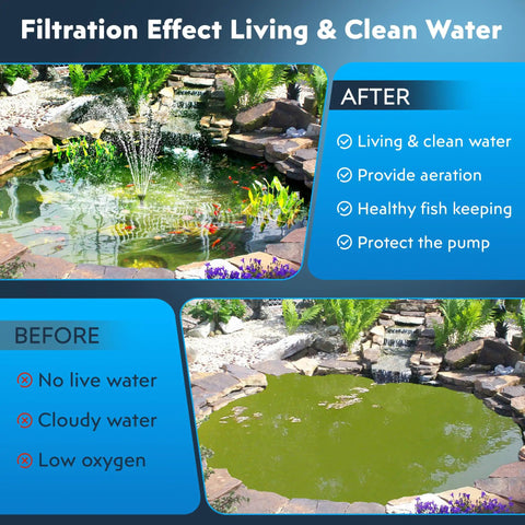 Comparison of small pond before and after using Solar Pond Filter Kit With 8W Fountain And 3600mAh Battery