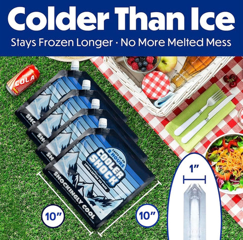Four Pack 10x10 Inch Cooler Ice Packs With Screw Cap No Ice Needed 18 Degrees F Phase Change Reusable Water Activated Cold Packs For Camping Picnics And Travel Keeps Food And Drinks Ice Cold For 24 To 48 Hours Safe USA Made shown in a picnic setup