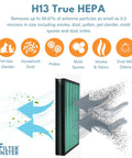 Illustration of HEPA filter capturing particles, highlighting Replacement Carbon Filter Set for Coway Airmega 400 and 400S Air Purifiers