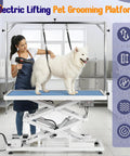 Huge Heavy Duty Electric Pet Grooming Lift Table With Double Scissor Blue Top, Height Adjustable Dog Station For Large Dogs And Cats, 264 LBS Capacity, Foot Control loops And Storage Drawer, Total Game Changer with a groomer and dog.