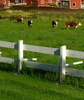 Built Different Heavy Duty Steel Fence Post Anchors And Ground Spikes Repair Kit No Sweat Setup Fixes Leaning Wood Posts With Rust Resistant Black Powder Coating For Durable Yard Care 8 Pack near wooden fence in green field with cows.
