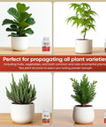 Rooting Hormone Powder For Plant Cuttings 0.80-1.60% IBA, Semi-Hardwood Starter, Speeds Up Root Growth For Any Plant Varieties, Ready-To-Use Pack For Faster Rooting Results In All Plant Types. Potted plant examples with rooting powder bottle