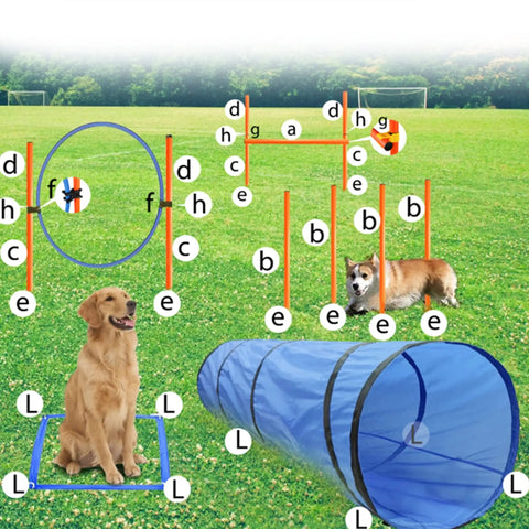 Dog Agility Training Starter Kit With Tunnel, 13 Weave Poles, Adjustable Hurdle, Jump Ring, Pause Box displayed on grass field