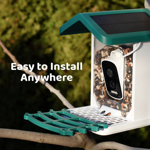 Smart Bird Feeder With Camera For Backyard Viewing, 2.5K HD Video, AI Bird Recognition Of 10K Birds mounted on tree branch
