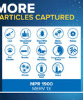 Infographic showing the types of particles captured by 20x20x1 Pleated Furnace Air Filter with MERV 13 and MPR 1900.