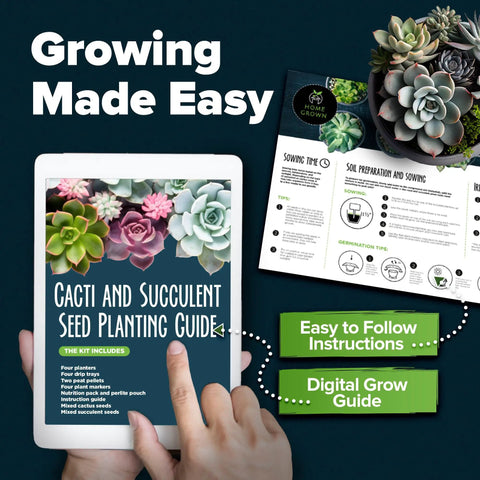 Display of Succulent And Cactus Seed Kit For Planting Enthusiasts Favorite Premium Starter Kit with guidebook and instructions.
