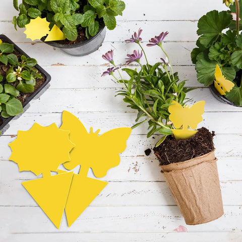 Ultra Thick Yellow Sticky Traps For Fruit Flies And Fungus Gnats With 48 Pack beside potted plants on a white wooden surface.