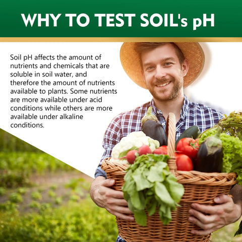 All In One Soil pH Test Kit With 125 Strips 3 To 9 pH Range Fast And Accurate Readings For Gardens Lawns Farms Grass Flowers Veggies Compost And Indoor Plants No Fuss Testing. Smiling man holding a basket of fresh vegetables with text on soil pH importance.