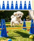 Ultimate Dog Agility Hurdle Set And Cone Jump Training Kit Obstacle Course System with small dog jumping over hurdle