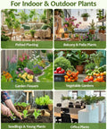 Collage of plant types including potted plants, balcony plants, garden flowers, vegetable gardens, seedlings, and office plants.