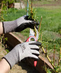 Person wearing Level 5 Cut Resistant Construction Work Gloves With Foam Nitrile Coating For A Grip Like A Pro And Tactile Feel, High Tear Strength, EN 388, PPE Regulation 2016 425 Compliant, 12 Pairs, Unisex Large, trimming plants with pruning shears.