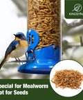 Outdoor Hanging Mealworm Tube Bird Feeder With Wide Perch Squirrel Chew Proof Easy Refill And Clean Metal Construction