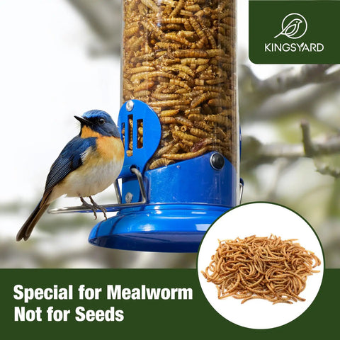 Outdoor Hanging Mealworm Tube Bird Feeder With Wide Perch Squirrel Chew Proof Easy Refill And Clean Metal Construction