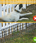 Dog prevented from digging by Heavy Duty No Dig Garden Fence Kit 25 Pack 17 Inch High By 27 Foot Long Rustproof Metal Border Panels