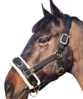 Horse wearing Lunge Cavesson With Fleece Lined Nose Band And Crown, Totally Adjustable By Buckle At Crown Throat And Chin, Thick Soft Wool Fleece