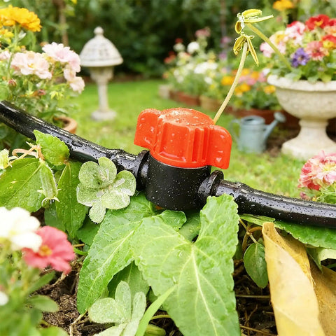 Close-up of 30 Pack One Quarter Inch Drip Irrigation Valves Barbed Shut Off Fittings in garden, connected to drip line tube.
