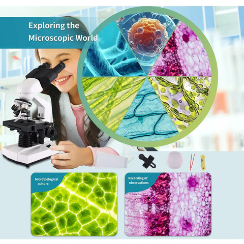 Adult Lab Microscope With 40X To 2000X Magnification Binocular Eyepieces WF10x And WF25x USB Camera For Photos And Videos Great For Classroom Use Home Lab And DIY Projects, shown with colorful biological samples and a student using the microscope