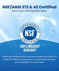 Replacement Refrigerator Water Filter For GE MWF SmartWater MWFP MWFA GWF HDX FMG1 WFC1201 GSE25GSHECSS PC75009 RWF1060 And Kenmore 9991 NSF certified label