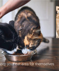 Two cats eating from a silver bowl at home, designed for exclusive feeding area with Upgraded Cat Door Latch And Stopper Adjustable White Pet Gate Alternative.