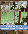 2 Pack 12 Inch Acrylic Window Plant Shelves With Suction Cup Sill Extenders holding small succulents and plants on a window.