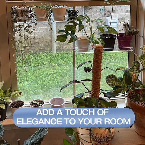 2 Pack 12 Inch Acrylic Window Plant Shelves With Suction Cup Sill Extenders holding small succulents and plants on a window.