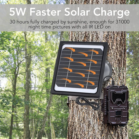 5W 12V Trail Camera Solar Panel Charger Kit With 5200mAh Battery attached to tree in forest for game cameras