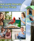 Collage showing Solar Powered Bird Feeder With Camera 2K HD Video Live Capture in use by people on devices, close-up of bird on feeder