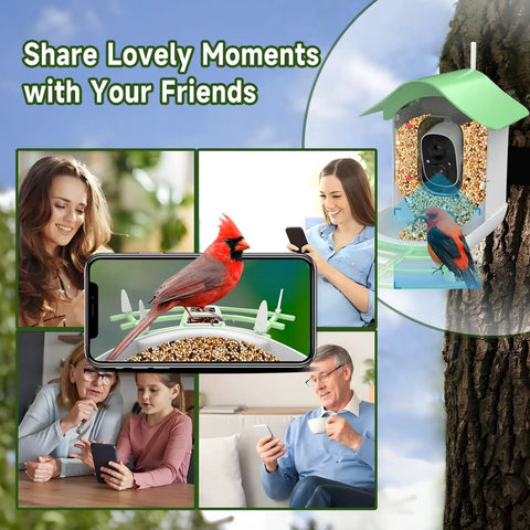 Collage showing Solar Powered Bird Feeder With Camera 2K HD Video Live Capture in use by people on devices, close-up of bird on feeder