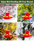 Two Pack 7 Oz Hummingbird Feeders For Outdoors Hangin Ant And Bee Proof With 6 Feeding Ports And Perches Built In Ant Moat shown in spring, summer, autumn, winter settings