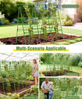 Adjustable A-Frame Garden Trellis for Raised Beds with climbing net and plant clips in various garden settings