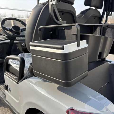 Two Seater Electric Golf Cart With Independent MacPherson Strut Suspension And Tuned Coil Spring Shocks with a cooler attached.