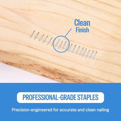 Top Tier 22 Gauge 304 Stainless Steel Upholstery Staples With Three Eighth Inch Crown And Leg embedded in clean wood surface.