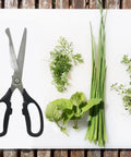 Big Ol Kalbi Meat Cutting Scissors For Korean BBQ And All Purpose Kitchen Tasks, Heavy Duty Stainless Steel Utility Kitchen Shears For Meat, Poultry, Fish, Herbs, Fruits, Paper, And More on cutting board with herbs